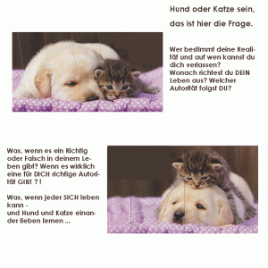 Hund-Und-Katze