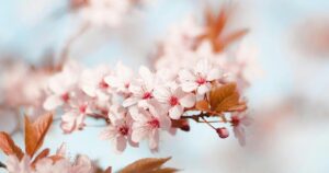 Aufstellungsnachmittag